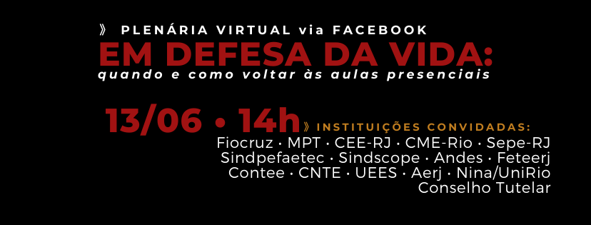 Plenária virtual “EM DEFESA DA VIDA” – veja aqui a versão resumida e a versão original